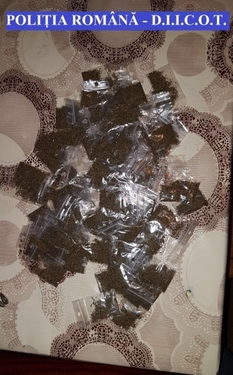 canabis marijuana trafic droguri (4)