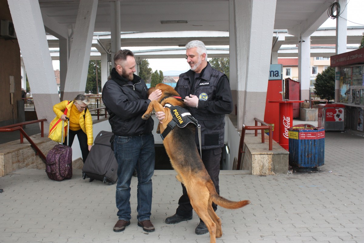 gara exercitiu chinologic politie CFR (3)