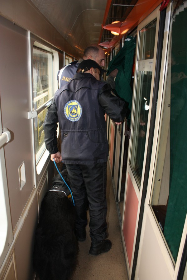 gara exercitiu chinologic politie CFR (4)