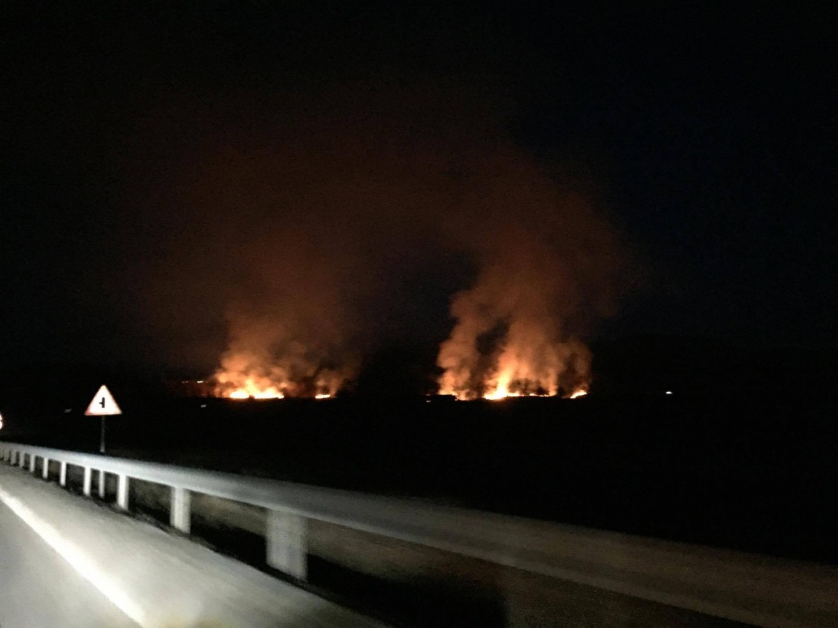 incendiu vegetatie 1