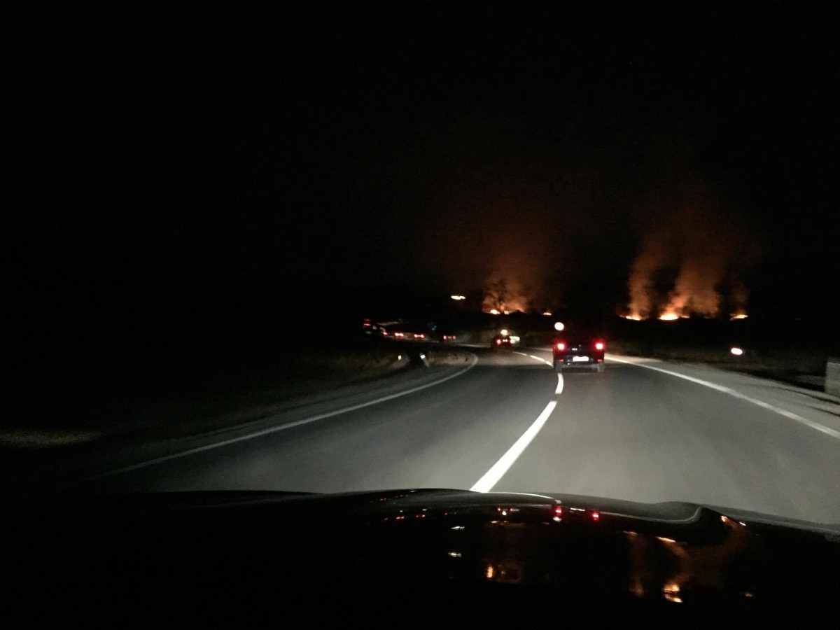 incendiu vegetatie 2