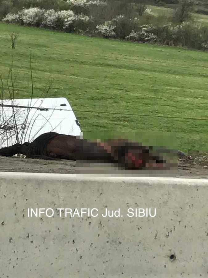 accident vestem cal (5)