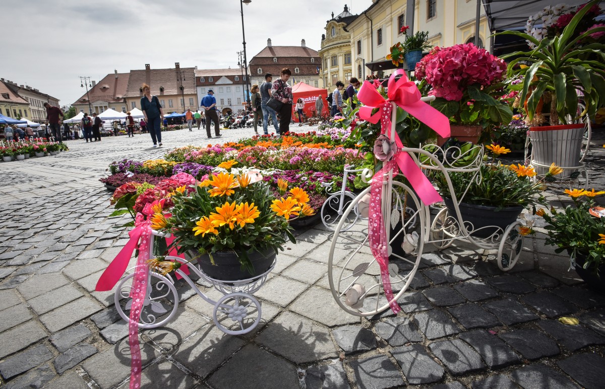 festivalul gradinilor flori (1)