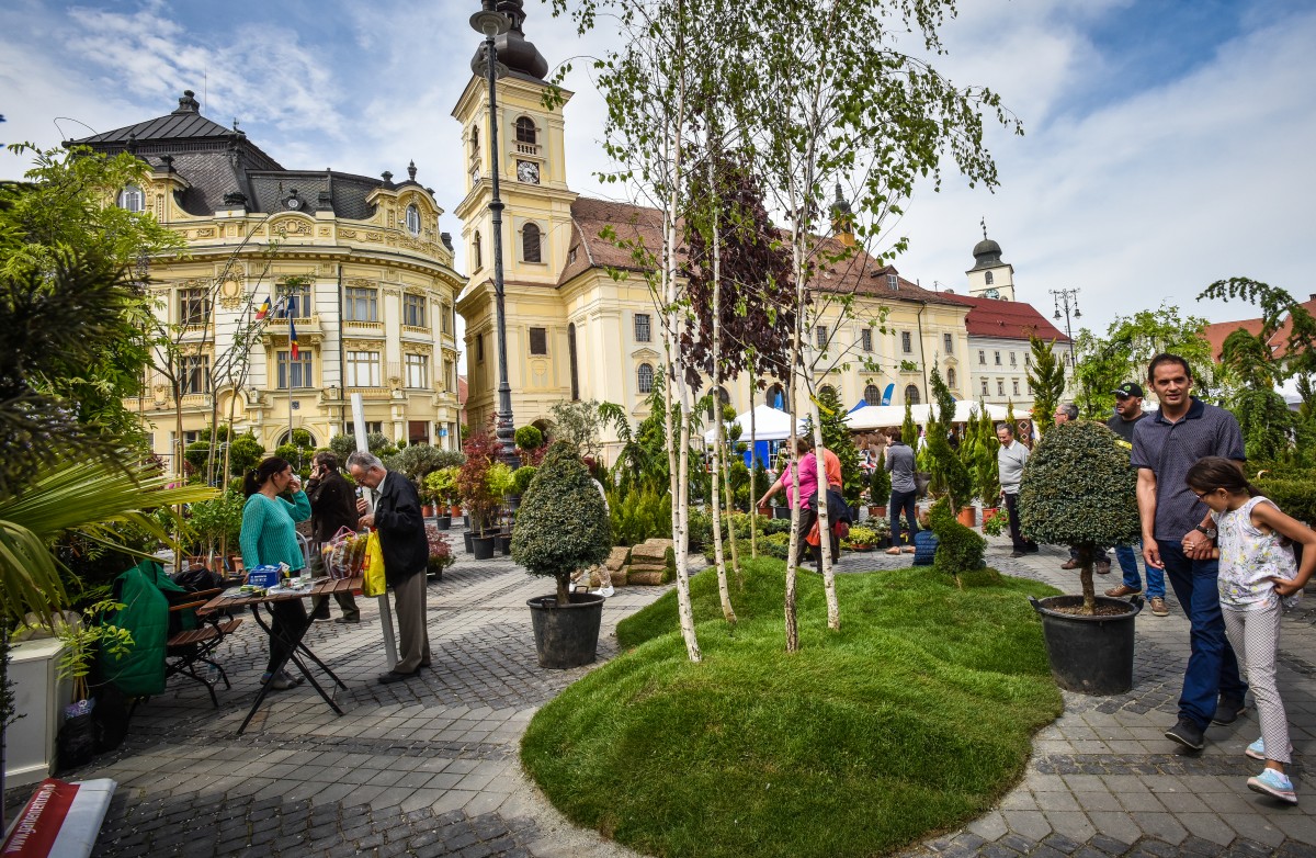 festivalul gradinilor flori (13)