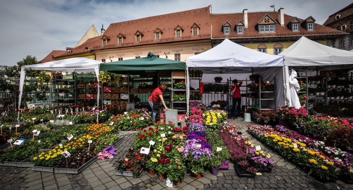 festivalul gradinilor flori (4)