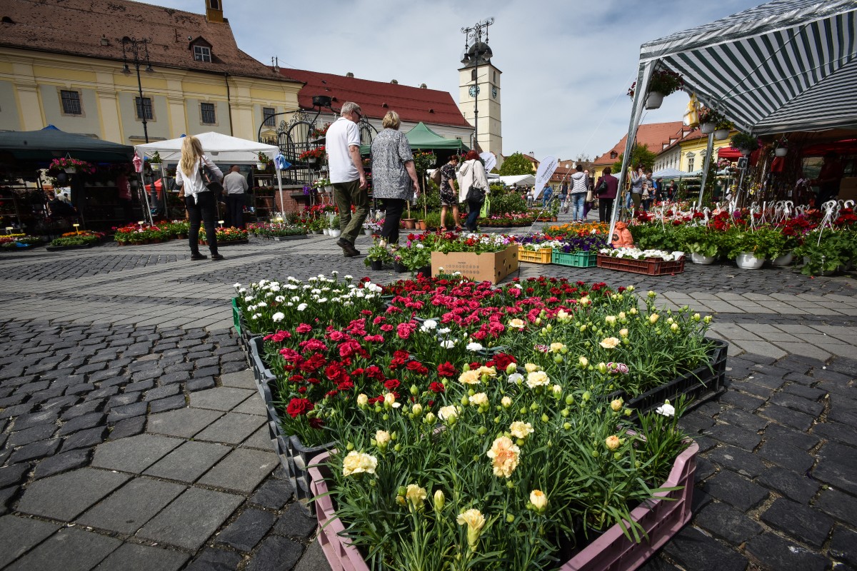 festivalul gradinilor flori (6)