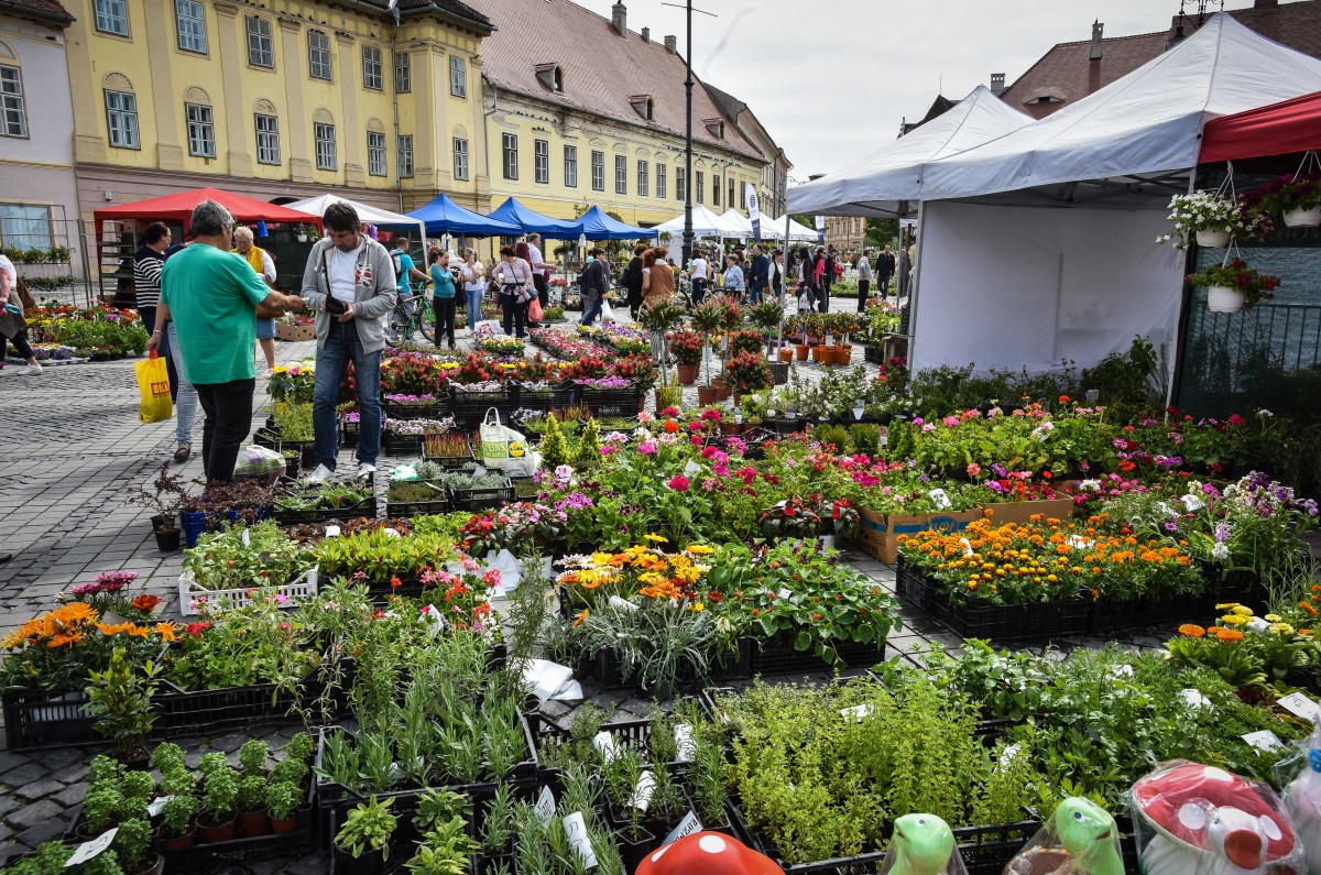 festivalul gradinilor flori (7)