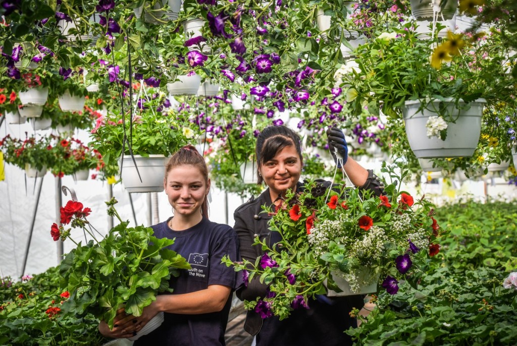 Sera de flori din Sibiu care dă tonul trendurilor de primăvară