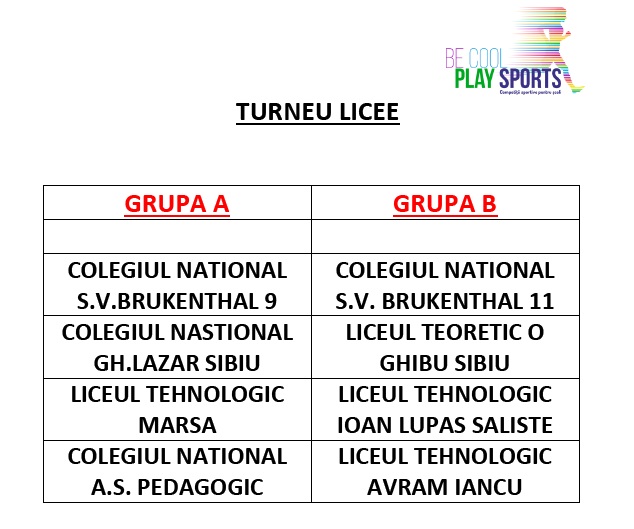 GRUPE_LICEE ok