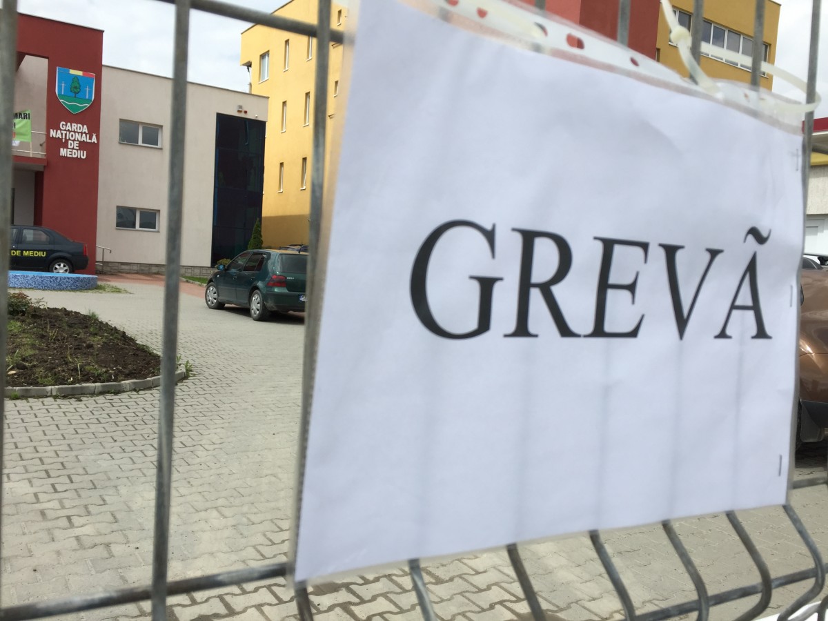 greva Garda de Mediu