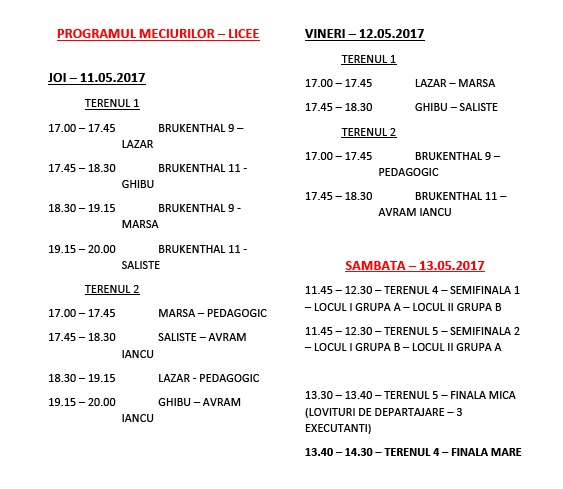 PROGRAM_LICEE ok