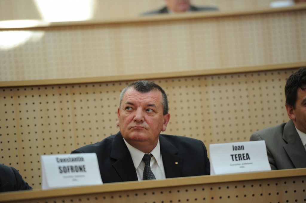 terea