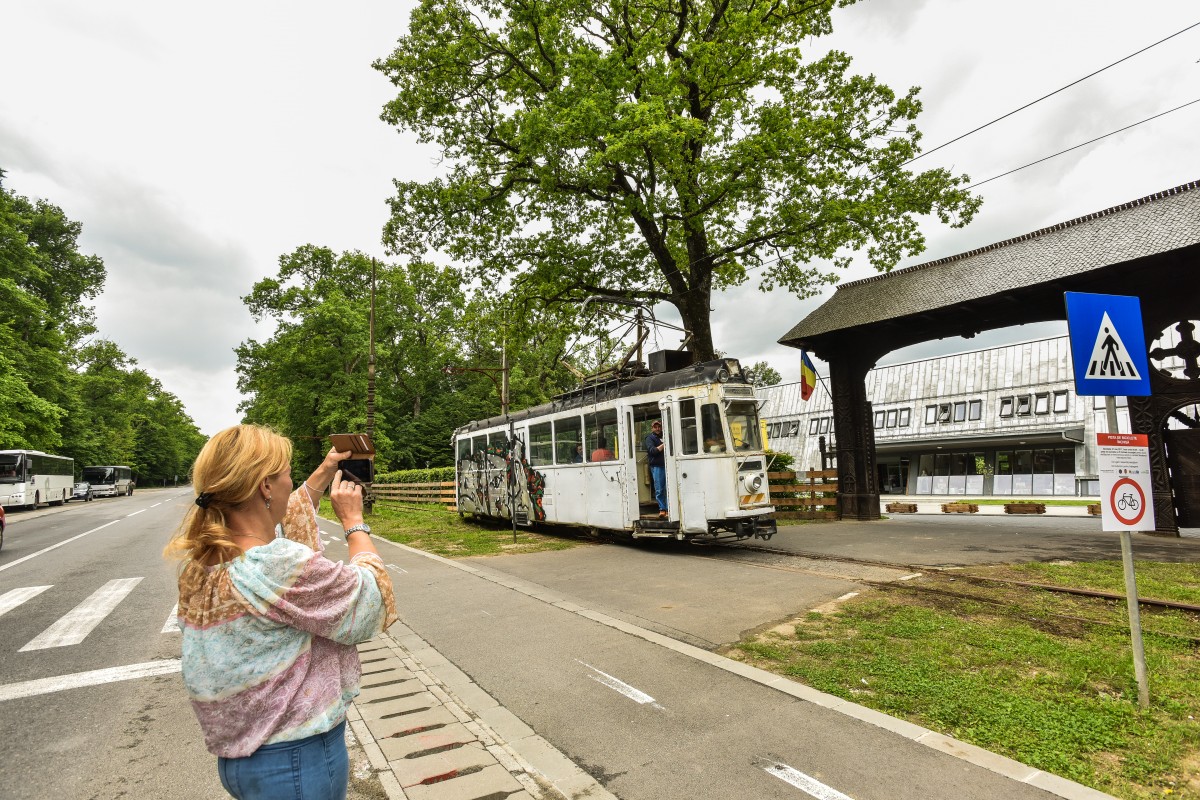 tramvai teste rasinari (39)