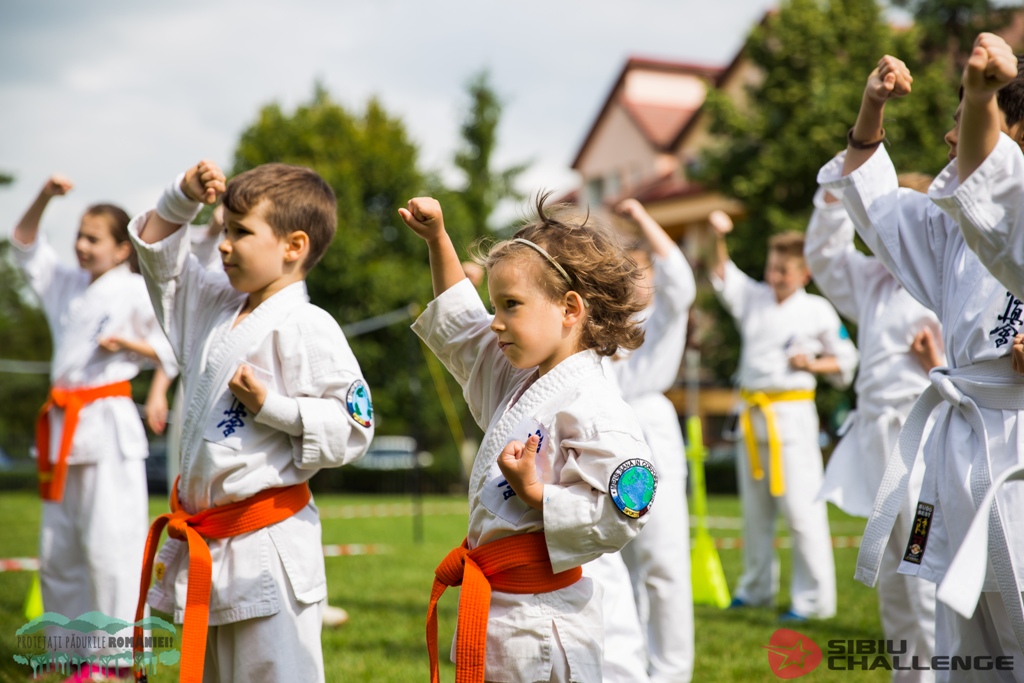 foto Sibiu Challenge 2017_Ovidiu Matiu (1)
