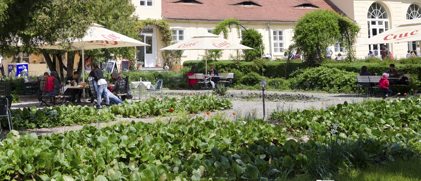 terasa-header-5