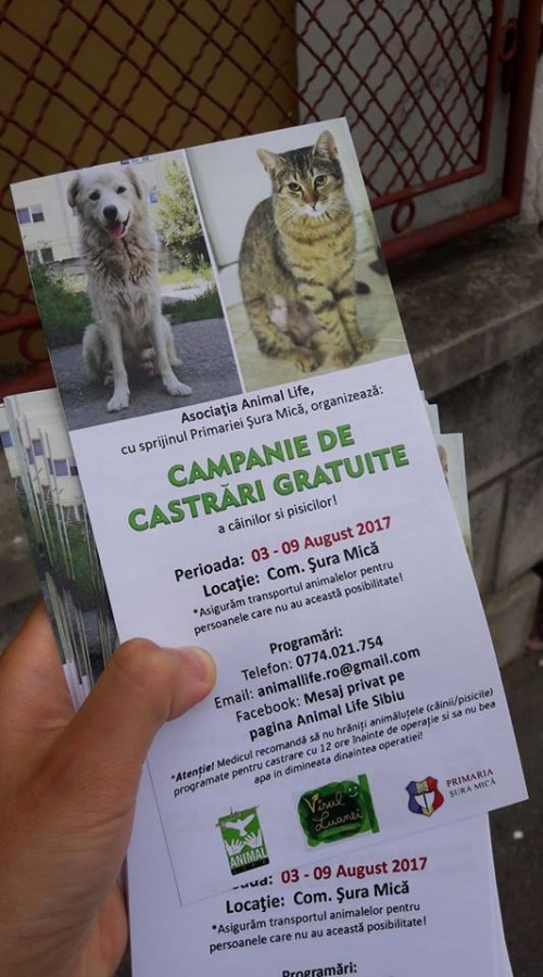 campanie de castrari caini pisici