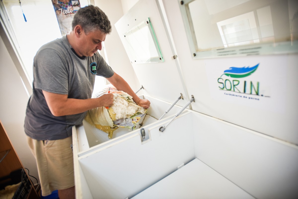 mici afaceri perne sorin rogozan (5)