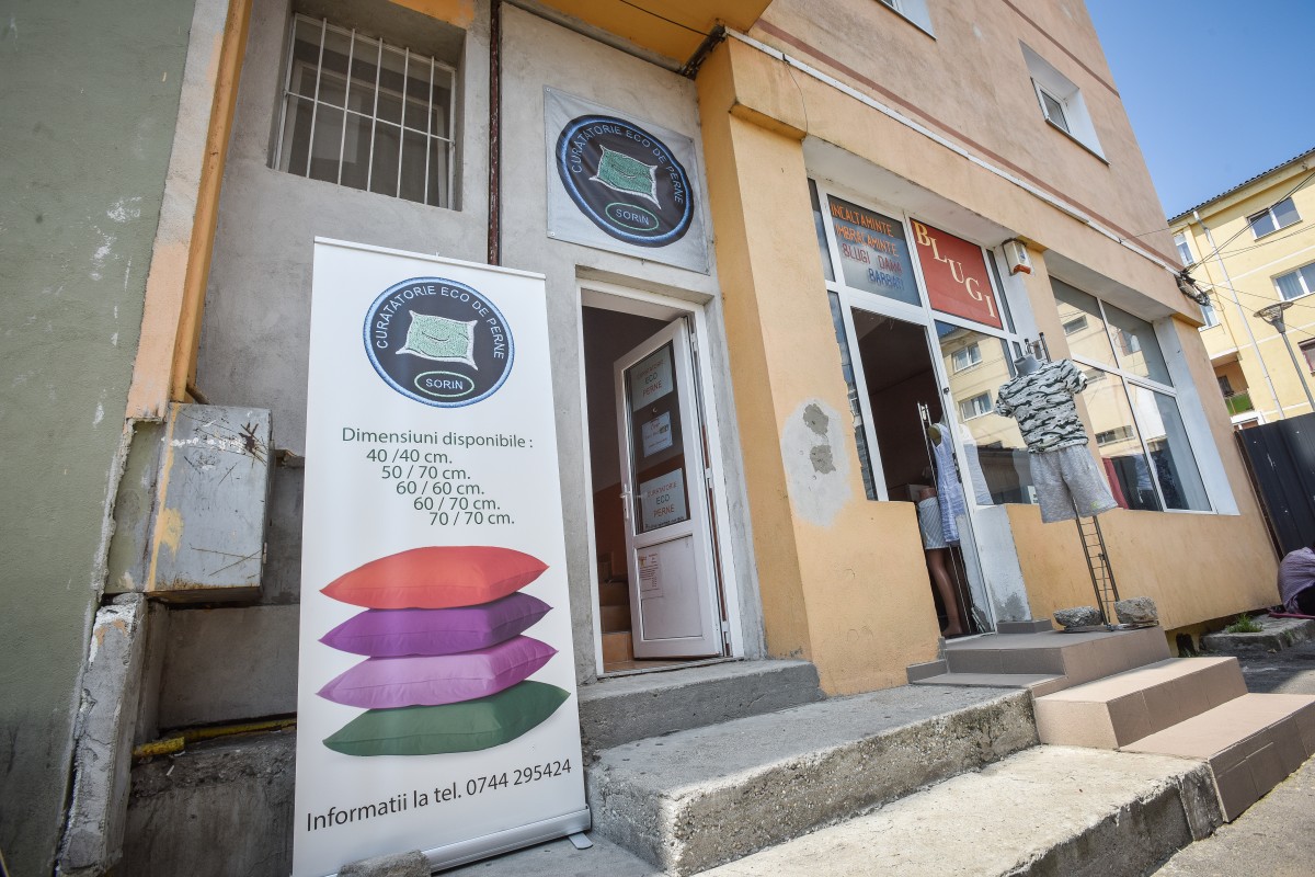 mici afaceri perne sorin rogozan (6)