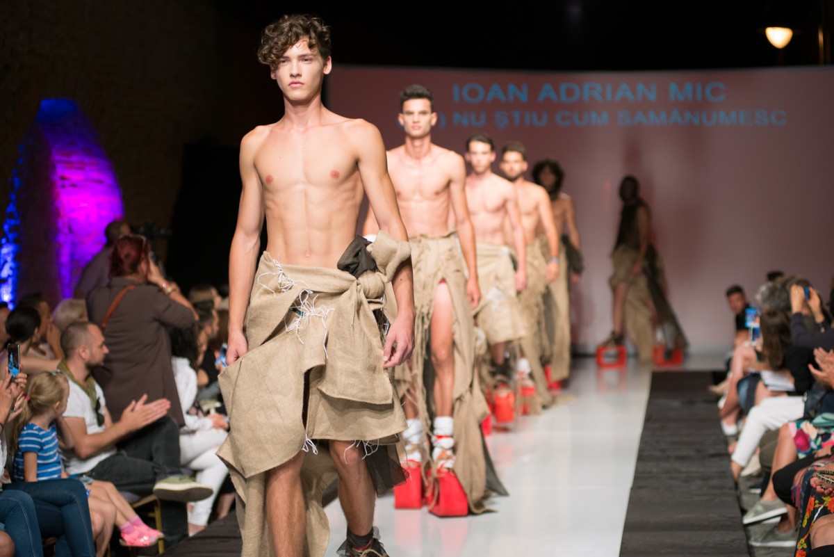 1. Ioan Adrian MIC locul I design