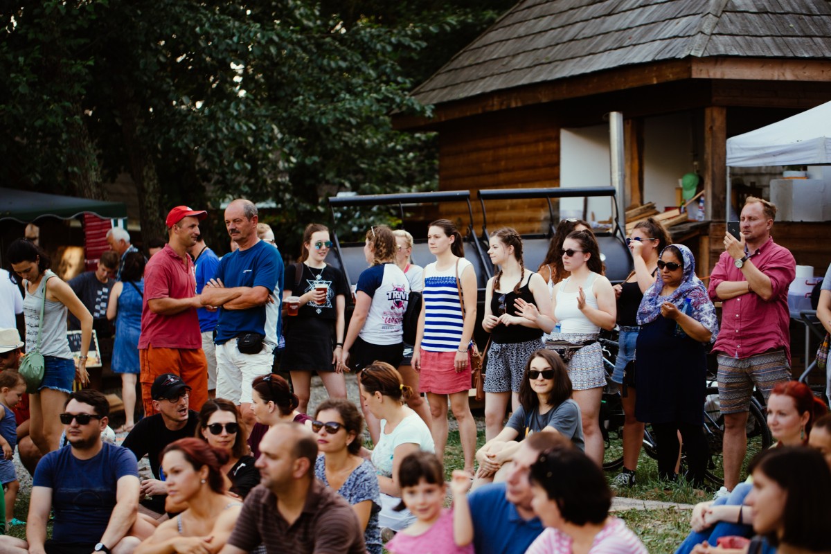 bere muzeul astra festivalul de bere artizanala (2)