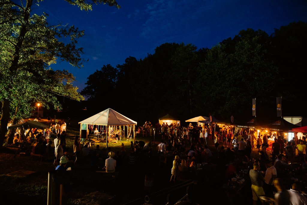 bere muzeul astra festivalul de bere artizanala (3)