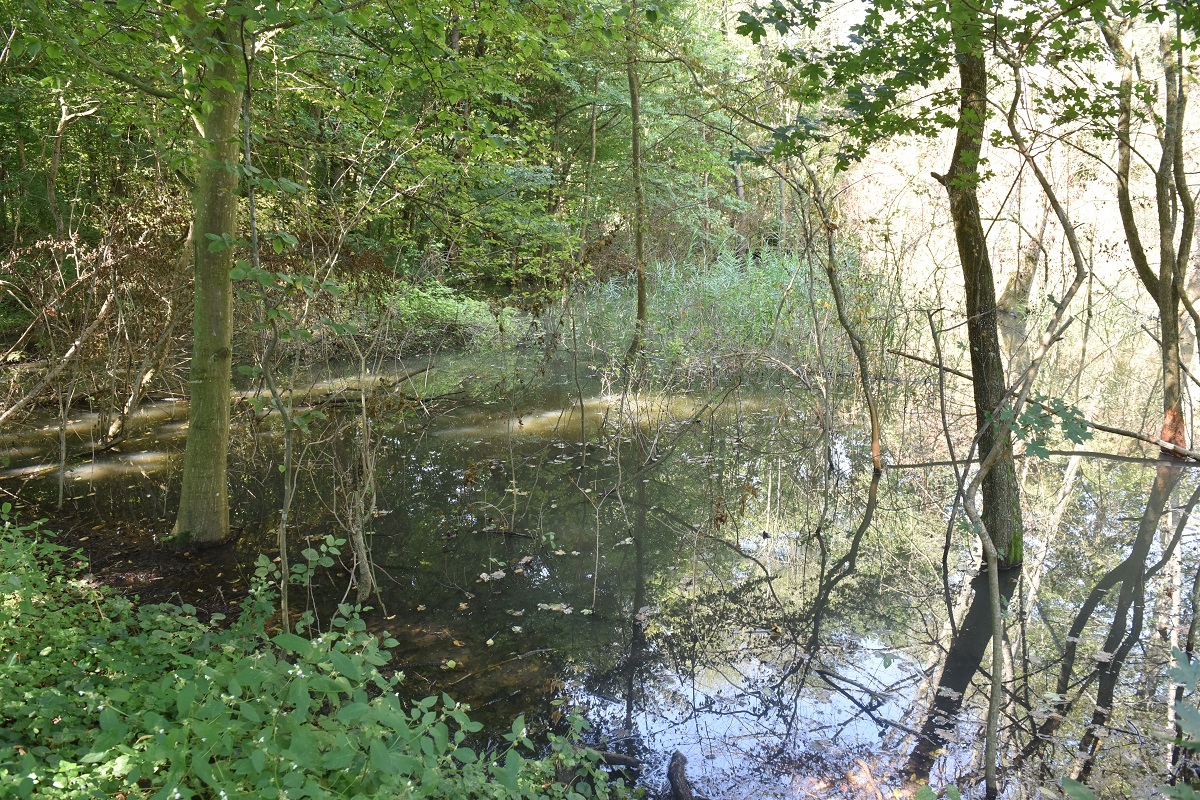 lac castori muzeu 2