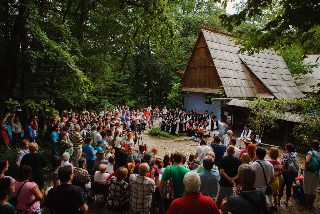muzeul satului astra