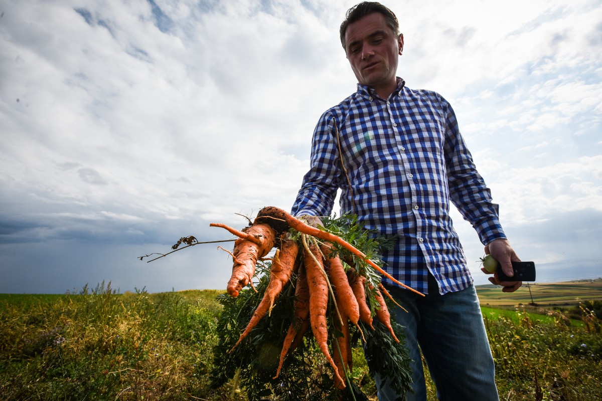 legume gustoase (13 of 32)