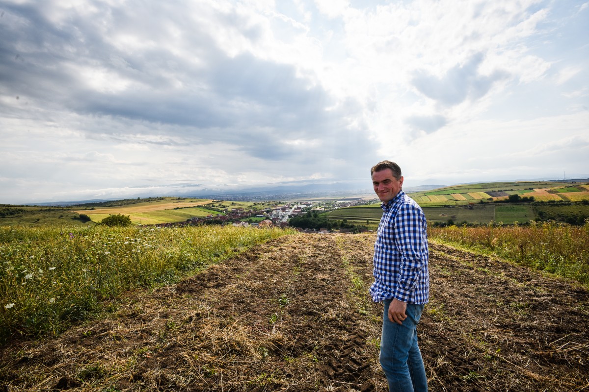 legume gustoase (14 of 32)