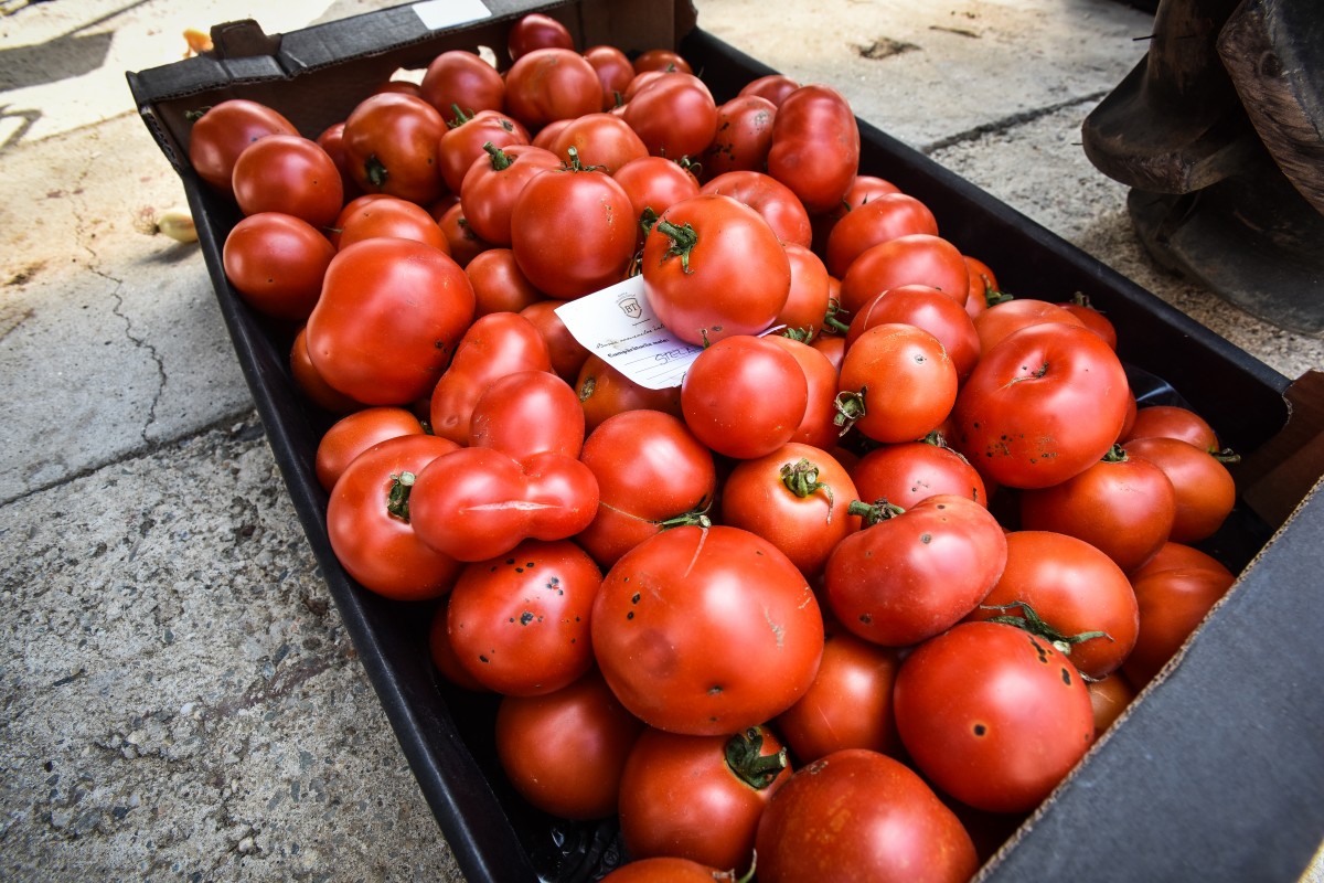 legume gustoase (2 of 32)