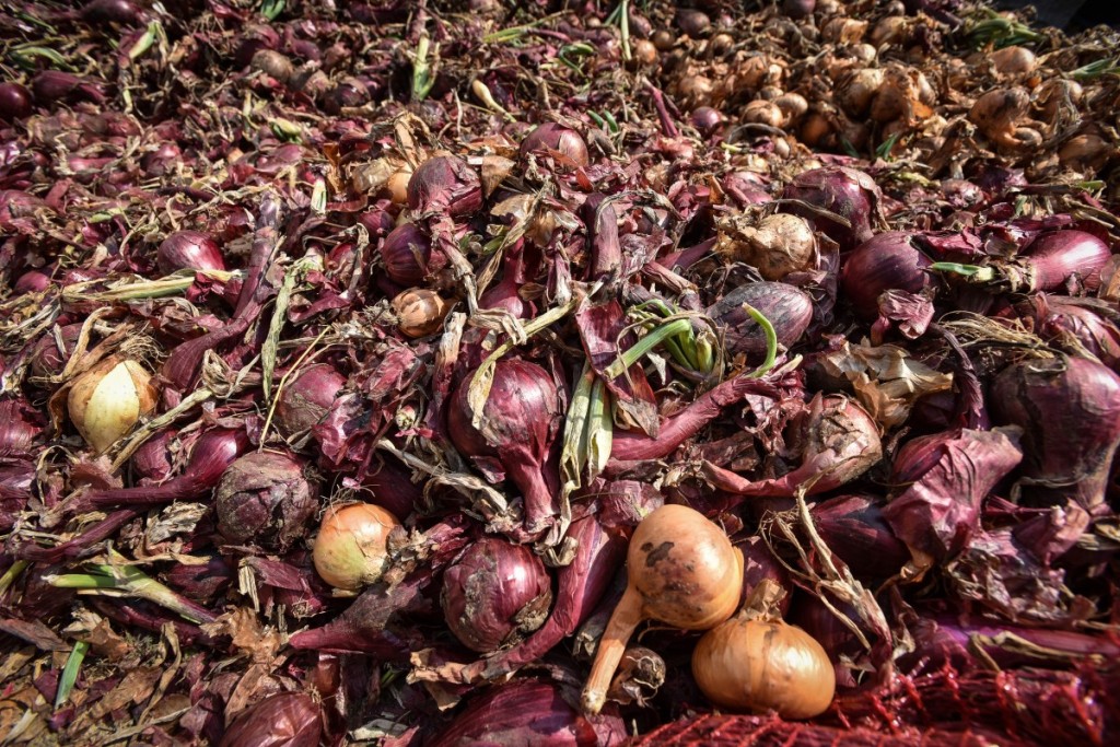 legume gustoase (5 of 32)