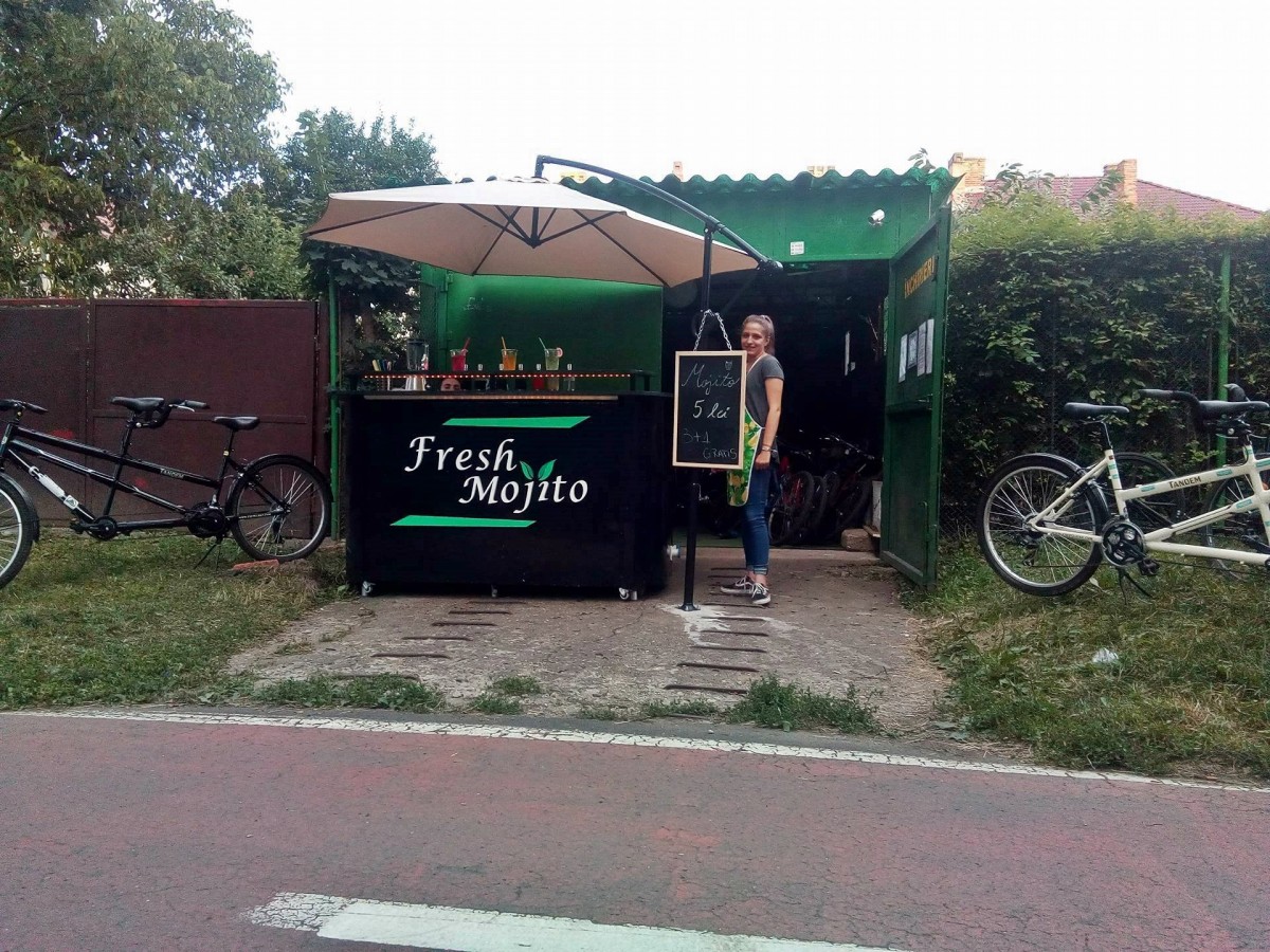 micile afaceri biciclete (3)