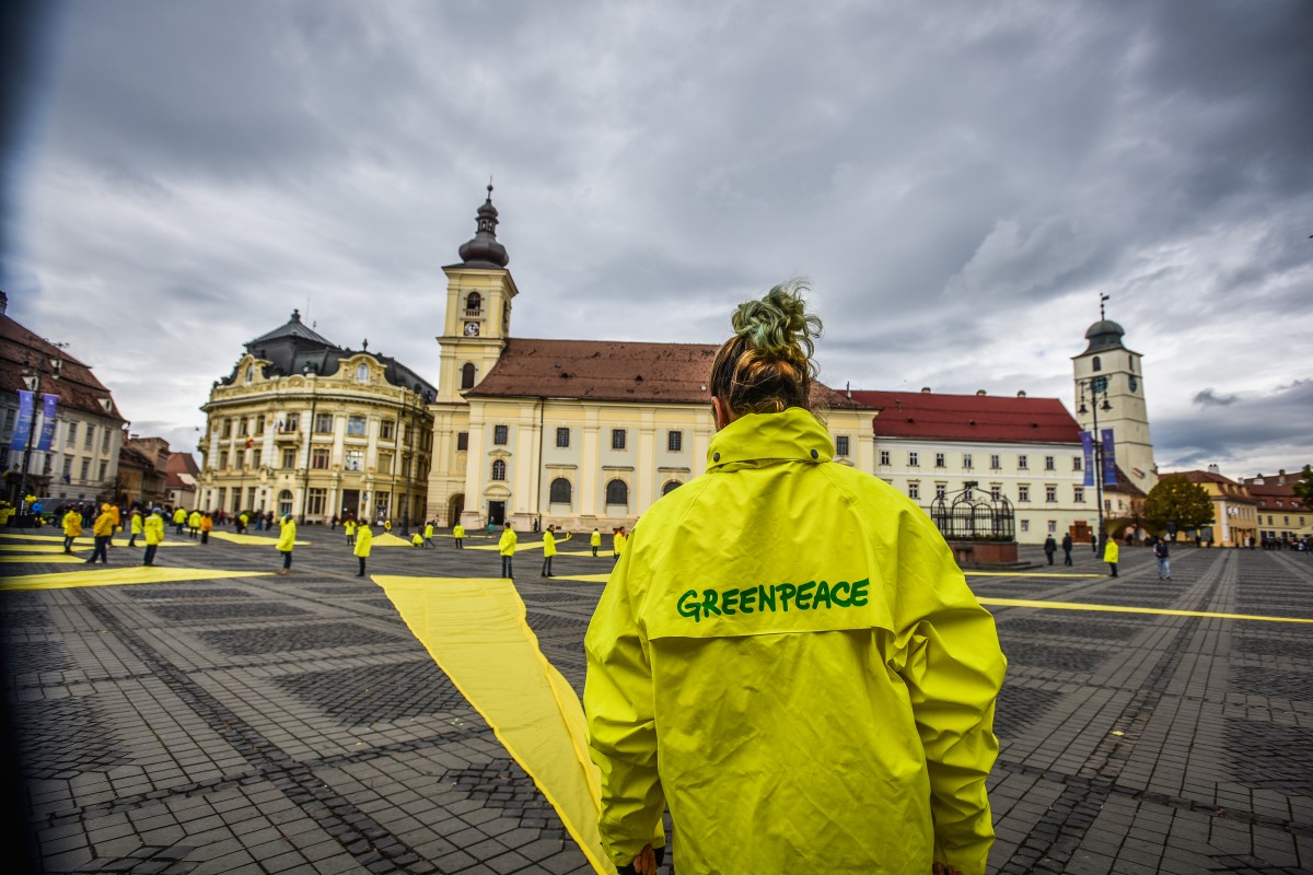 sibiu piata mare greenpeace (6)