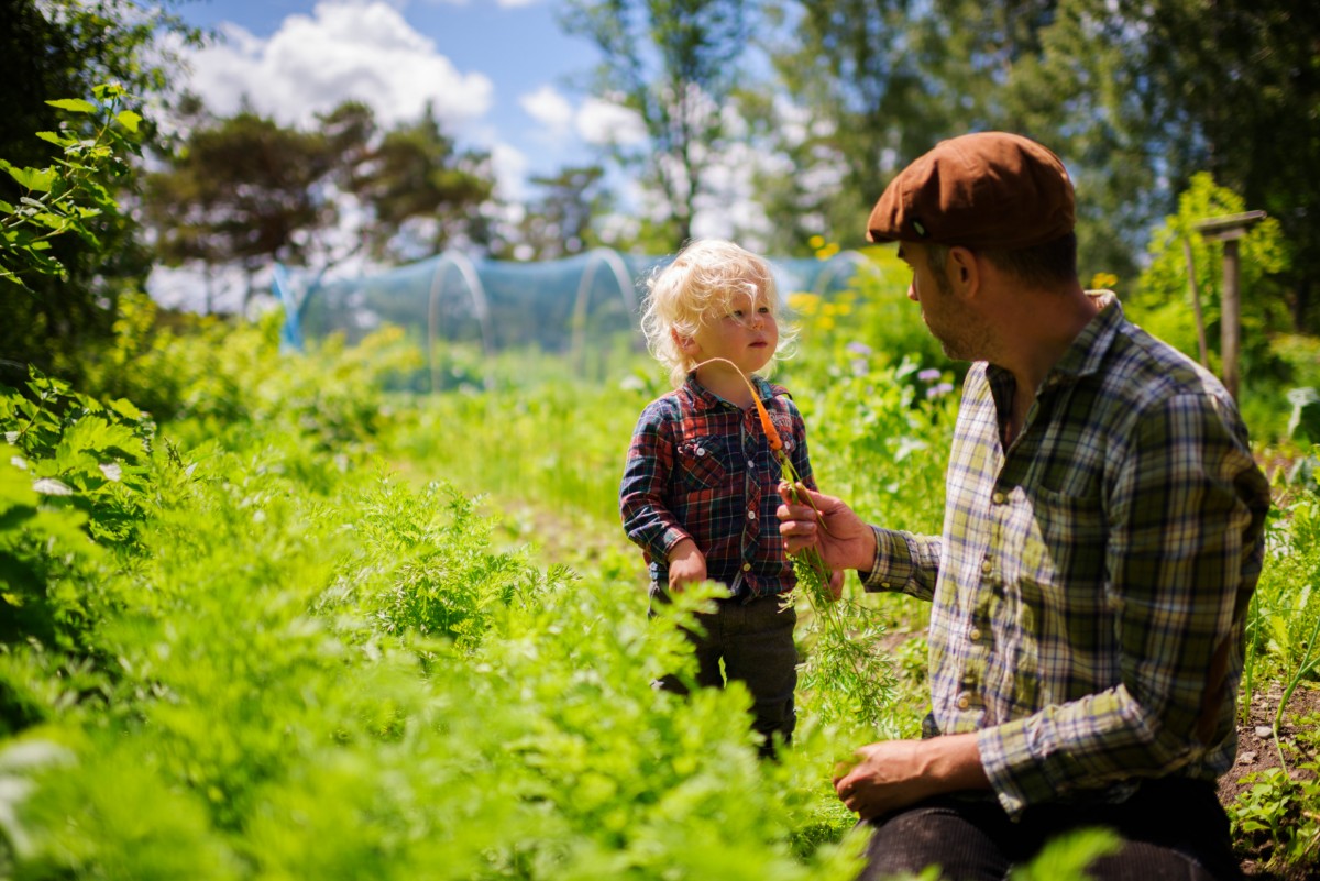 simon_paulin-organic_farming-5793