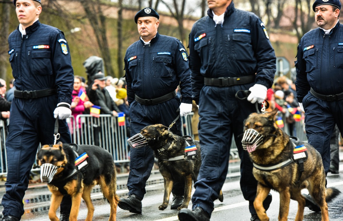 ziua nationala 1 decembrie parada defilare (20)