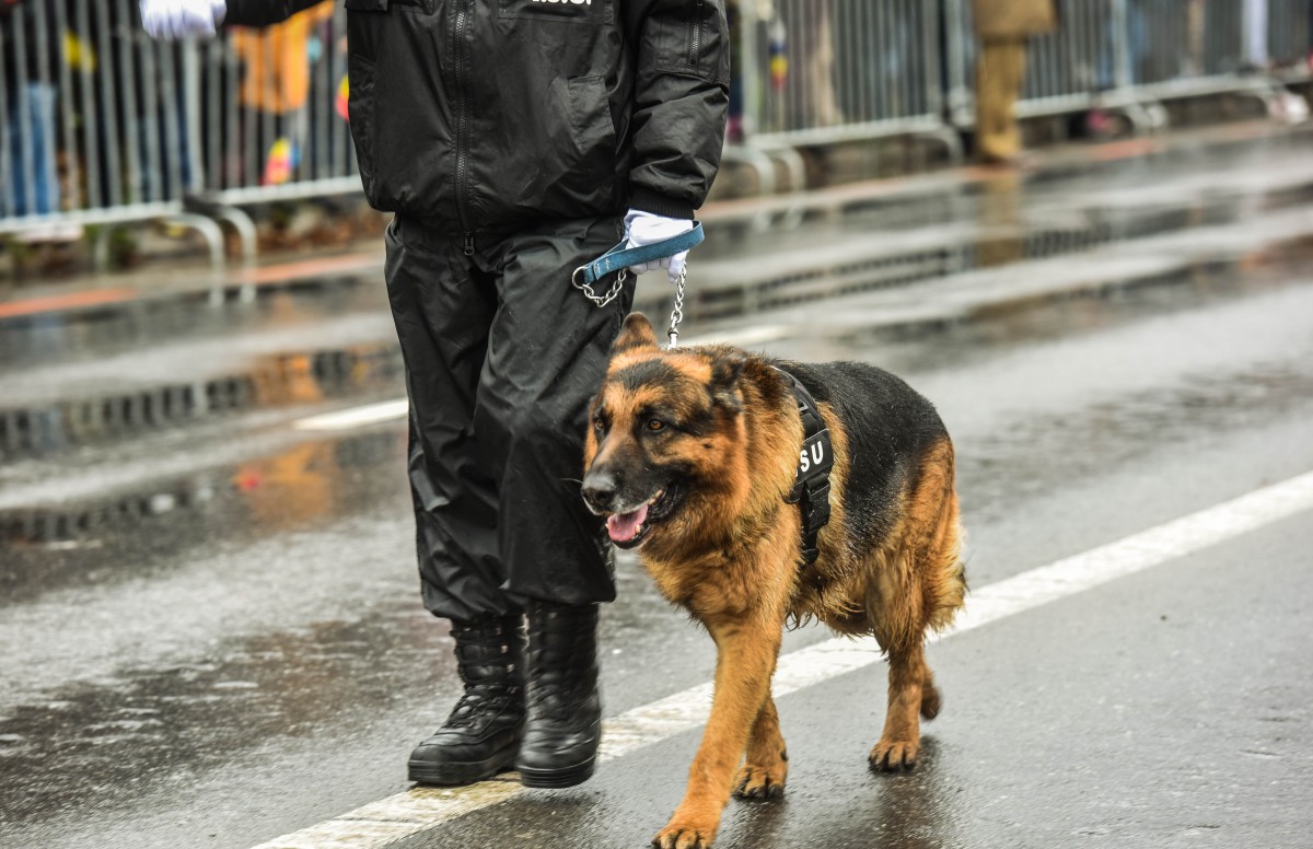 ziua nationala 1 decembrie parada defilare (25)