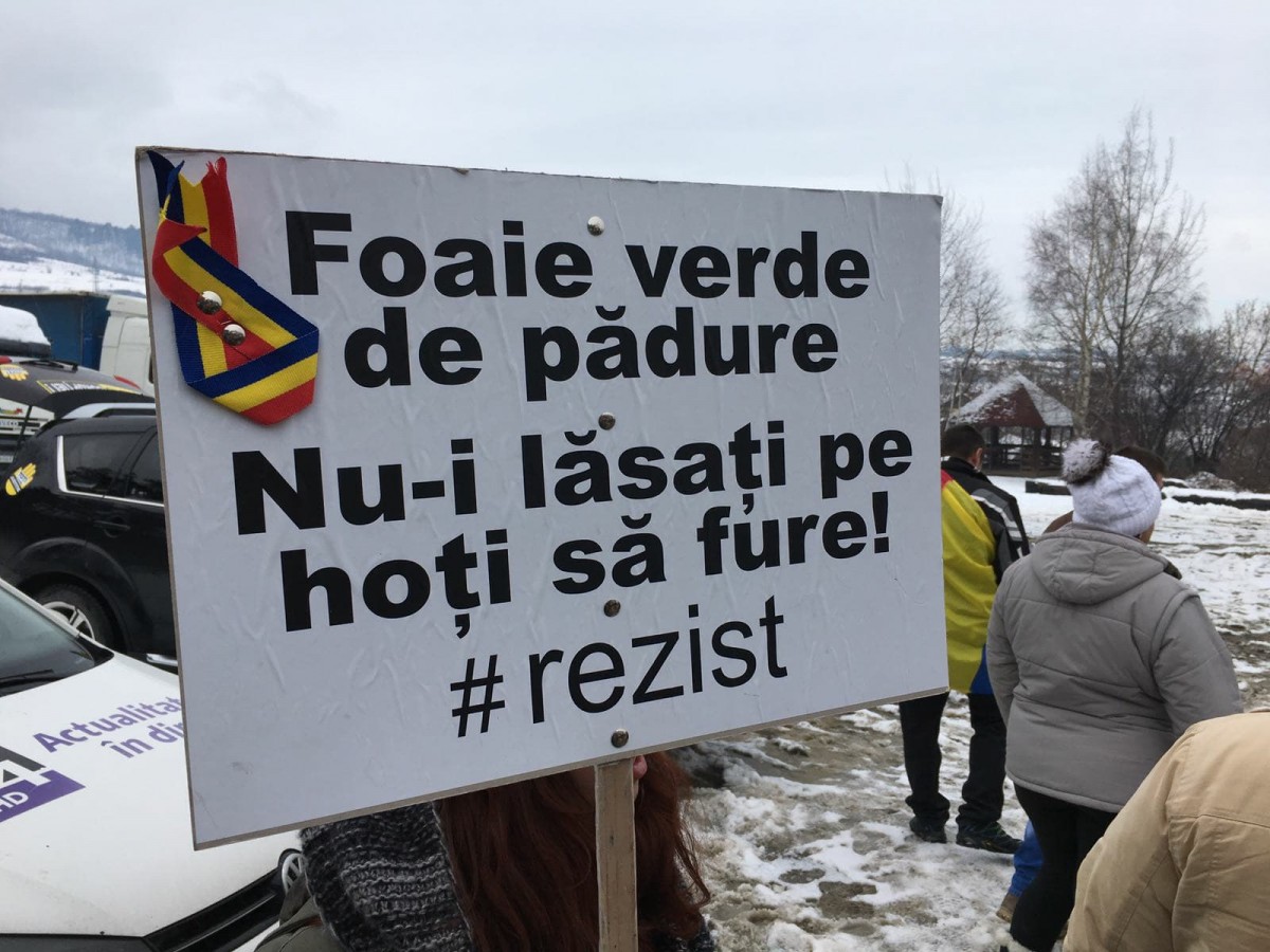 vavedem talmaciu2