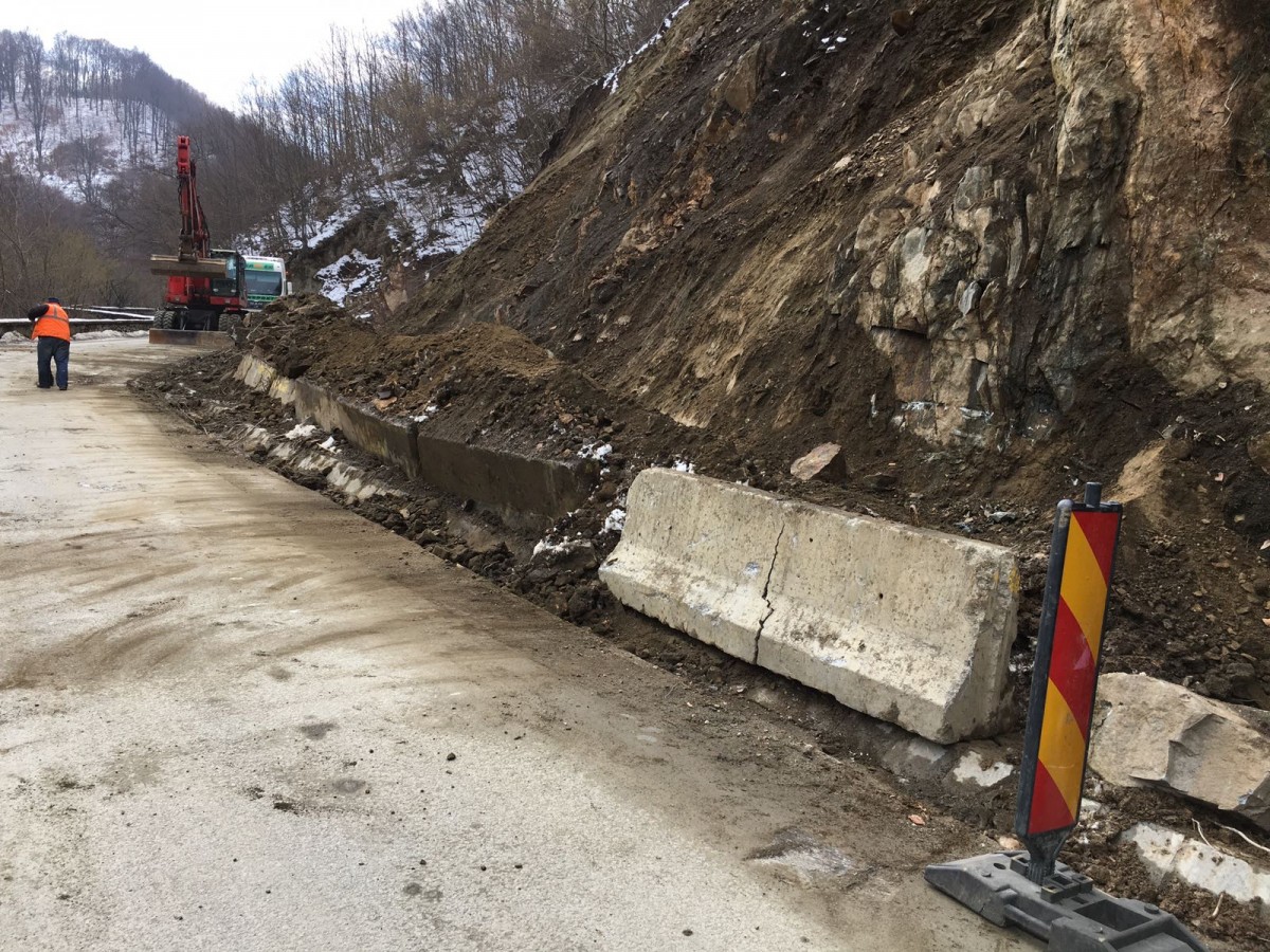 tilisca rod pamant cazut (1)