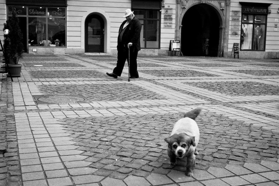 1378314_260938344062375_1463154328_n