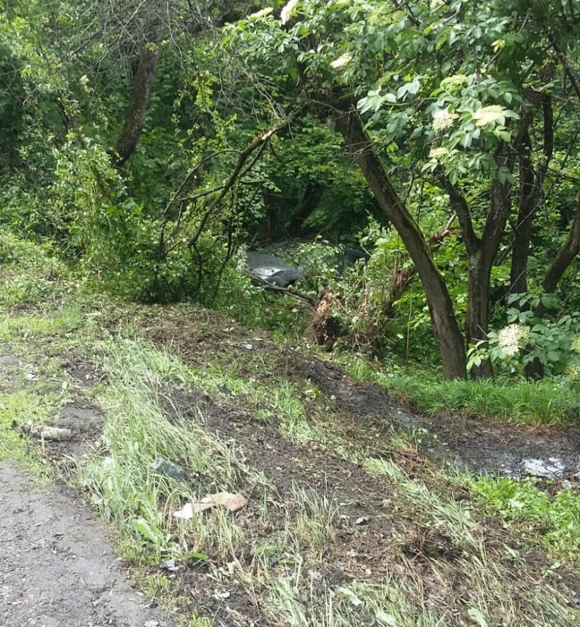 accident hula bradului 1