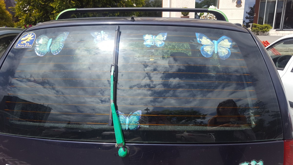 briz briz parbriz (1)