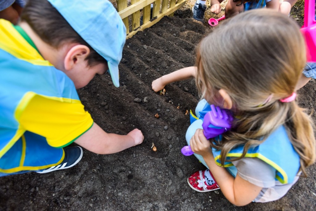 gradina din gradinita nr 33 (10)