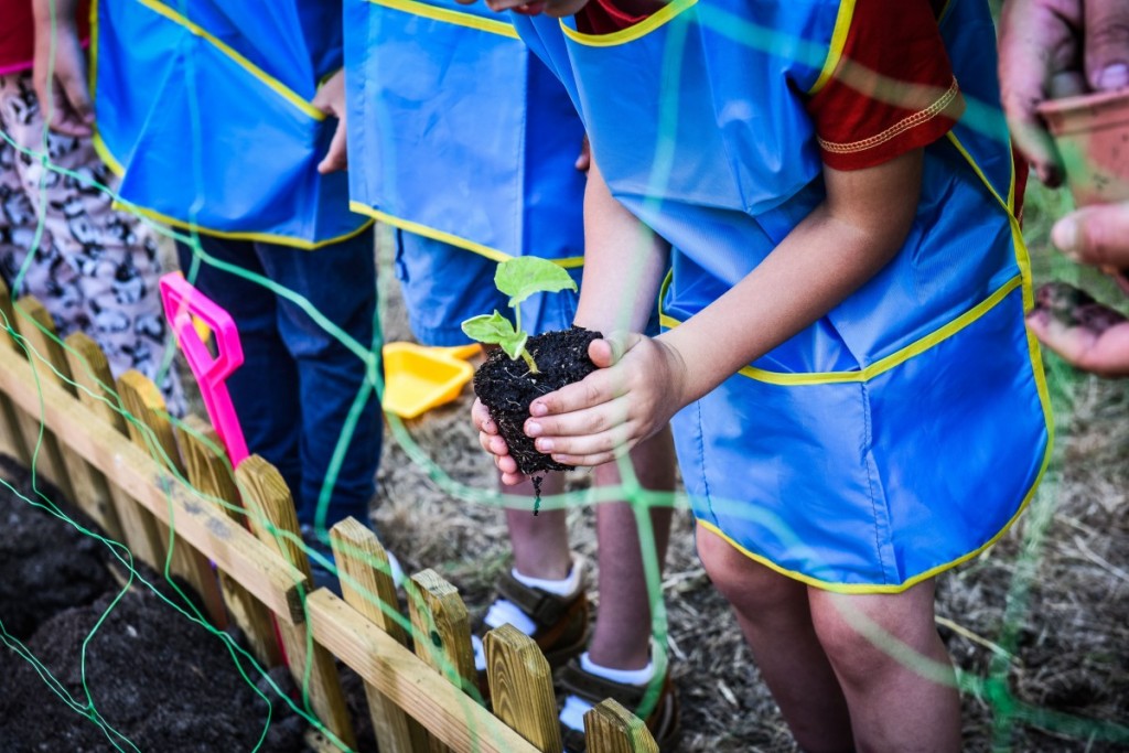 gradina din gradinita nr 33 (27)