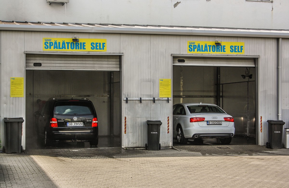 spalatoria schumi (12)