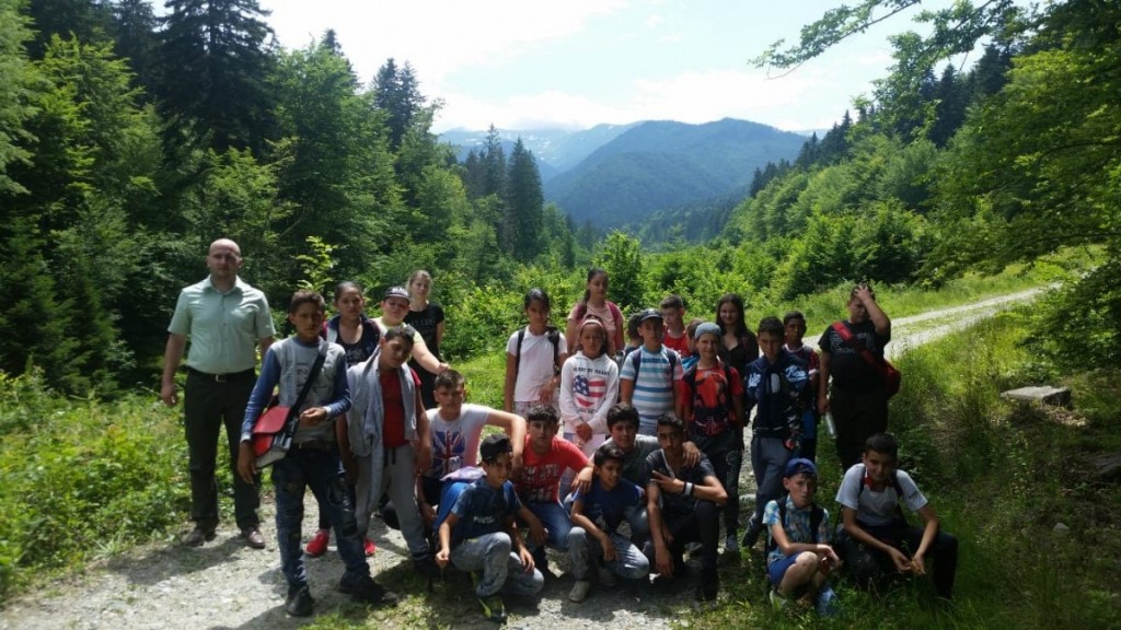 AVRIG-01-1
