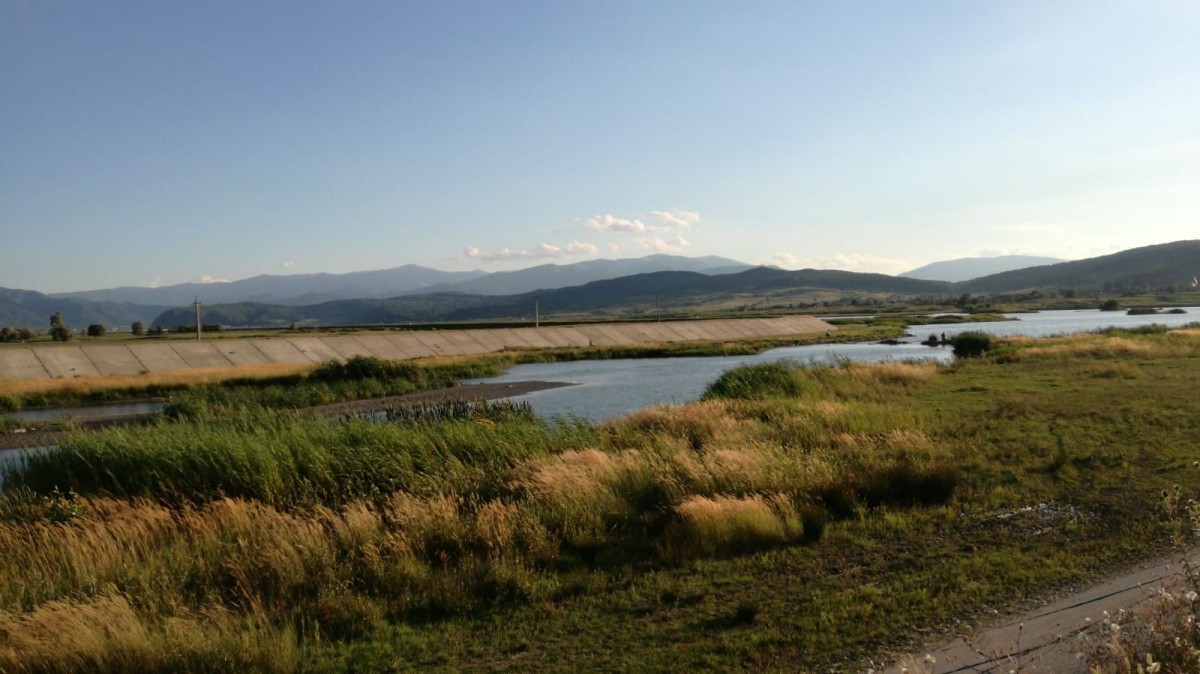 cautari copil avrig (3)