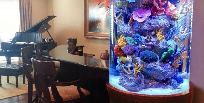 e4cc87f3aa31ebe4a09fe18d074d382d-tanked-aquariums-custom-aquariums-361y5ghug3uoxlxioycmq2