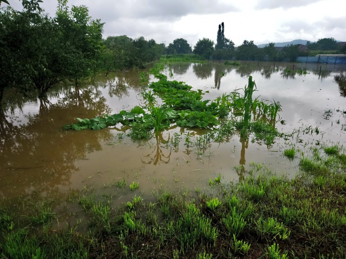 inundatii bungard 2