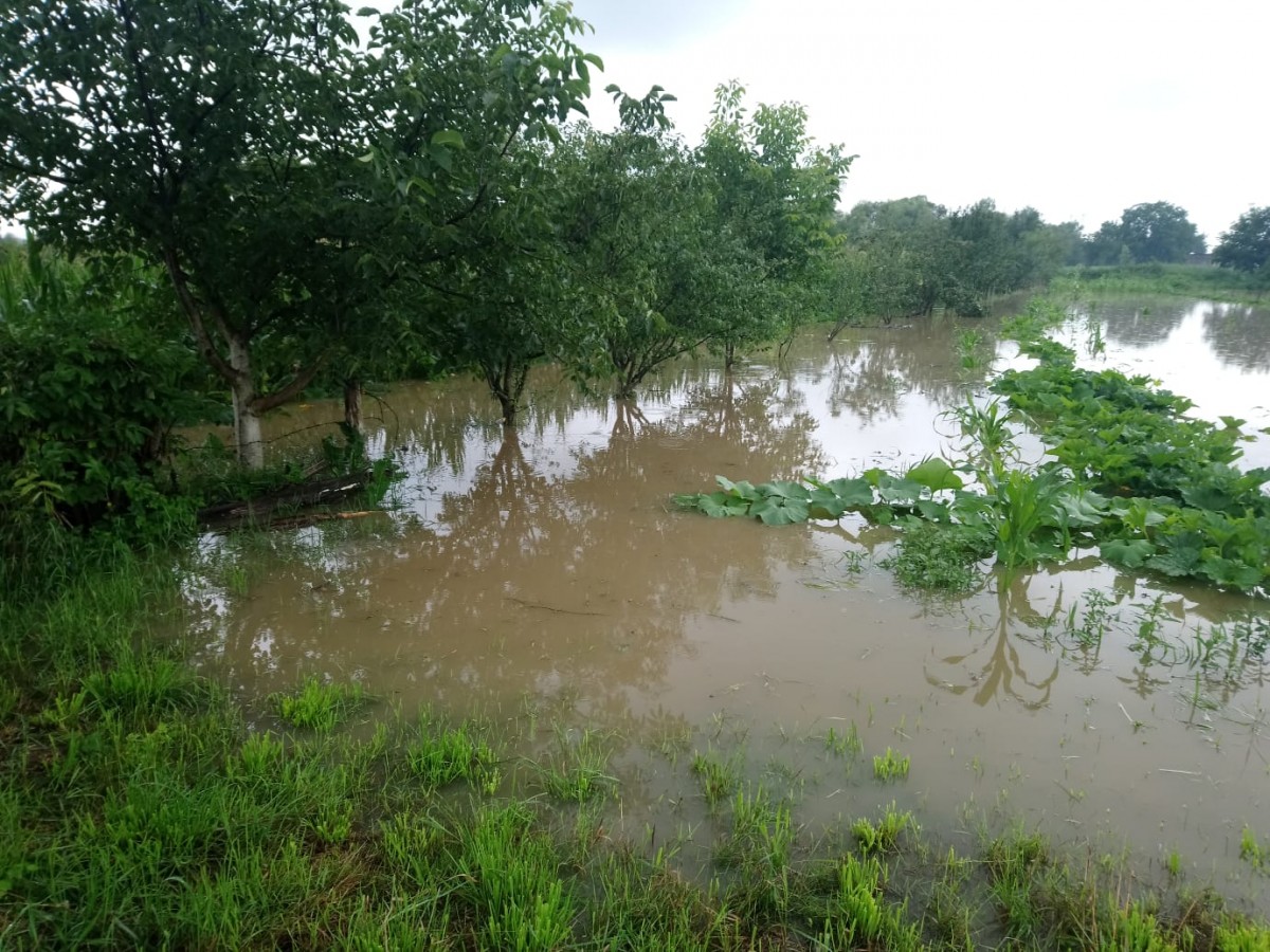 inundatii bungard