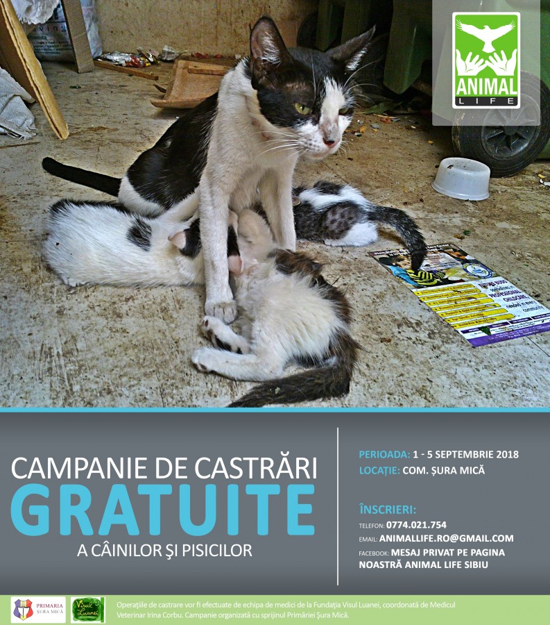afis-campanie-sterilizari-SEPT-2018-2
